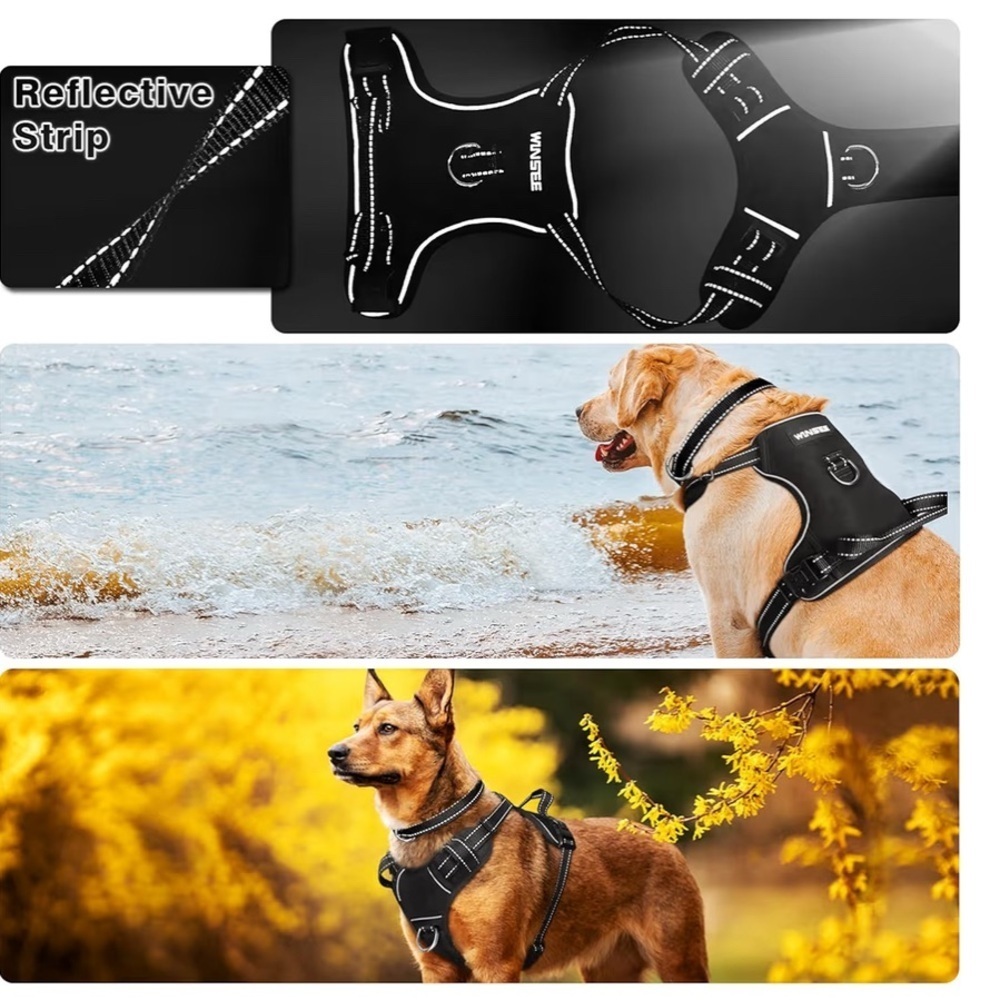 Black Dog Harness 050 - Picture 3 of 5
